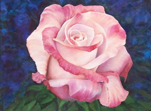 Rosa blanca rosada