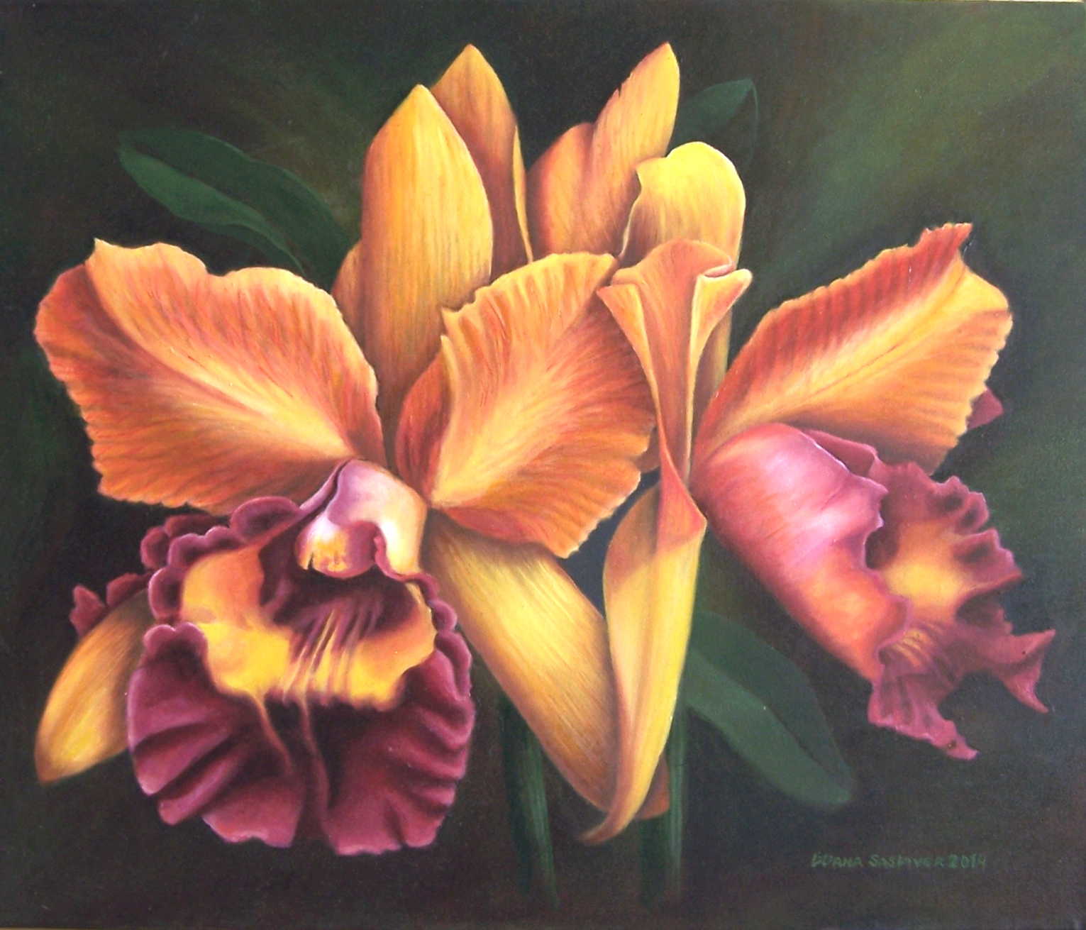Orquídea purpura